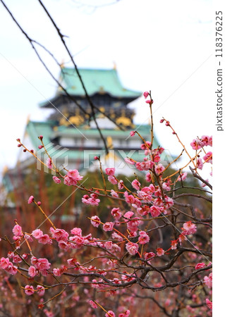 The castle tower seen from the plum grove 118376225