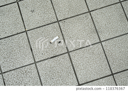 Littering of cigarettes 118376367