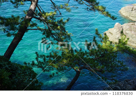 夏天的若狹高濱城山公園 118376830