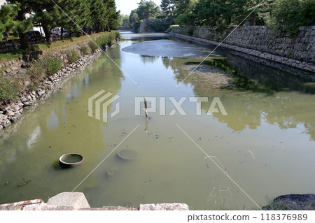 和歌山城護城河排水 和歌山城護城河排水 118376989