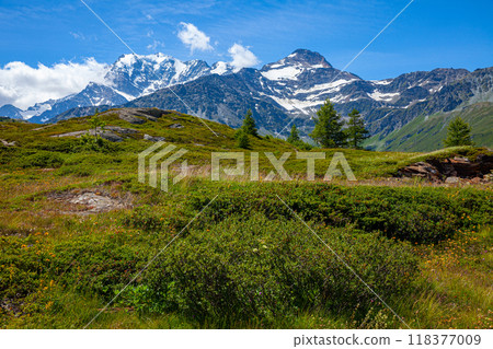 Views from Simplon Pass of Swiss Alps landscape in summer 118377009