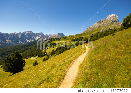 Goma Pass Goma Pass 118377012
