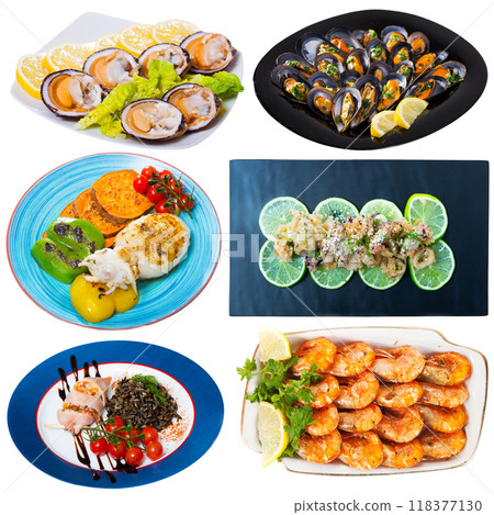 Set of assorted seafood dishes 118377130