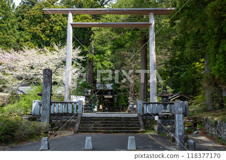 大鳥居門和宮澤赤城神社的參道 大鳥居門和宮澤赤城神社的參道 118377170