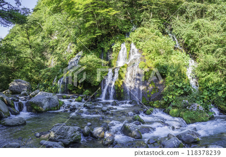 Deep green Toryu Falls 118378239
