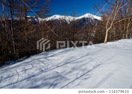 從南阿爾卑斯山杖立峠附近看到的白峰三山 從南阿爾卑斯山杖立峠附近看到的白峰三山 118379610