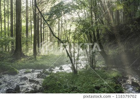 從富士宮市照射到富士山地下水的光線 118379702