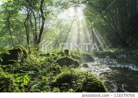 A beam of light shining on the underground waters of Mount Fuji from Fujinomiya City 118379708