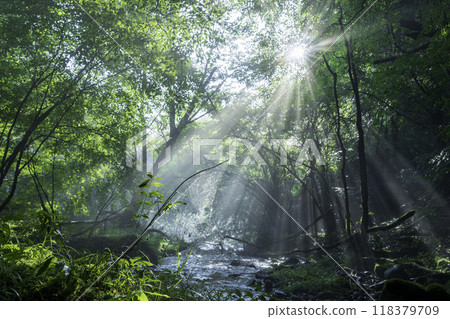 A beam of light shining on the underground waters of Mount Fuji from Fujinomiya City 118379709