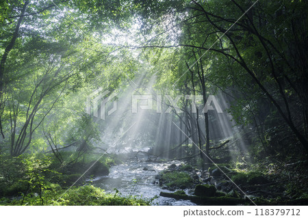 A beam of light shining on the underground waters of Mount Fuji from Fujinomiya City 118379712