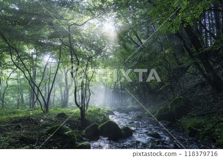 A beam of light shining on the underground waters of Mount Fuji from Fujinomiya City 118379716