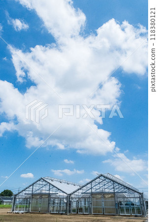 Blue sky and greenhouse 118380121