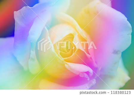 Rainbow rose Rainbow rose 118380123