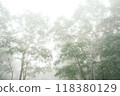 濃霧中爬山 118380129