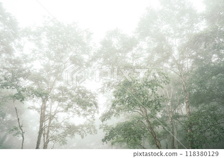 濃霧中爬山 濃霧中爬山 118380129