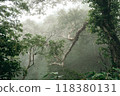 濃霧中爬山 118380131