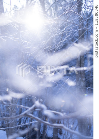Frost on Satoyama due to radiative cooling (around Lake Onbara) 118380346