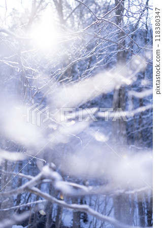 由於輻射冷卻導致里山的霜凍(Onbara 湖周圍) 由於輻射冷卻導致里山的霜凍(Onbara 湖周圍) 118380347