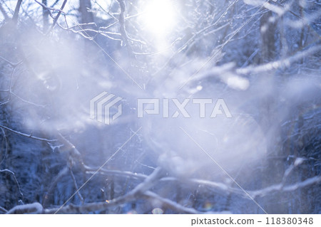 由於輻射冷卻導致里山的霜凍（Onbara 湖周圍） 118380348