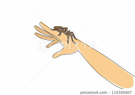 Single one line drawing big spider posing on hand. Joking with pets. Tarantula is an agile animal. Has spider web. Has poison. National Save a Spider Day. Continuous line design graphic illustration Single one line drawing big spider posing on hand. Joking with pets. Tarantula is an agile animal. Has spider web. Has poison. National Save a Spider Day. Continuous line design graphic illustration 118380807