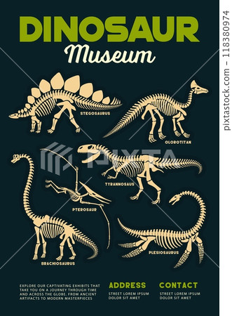 Dinosaurs museum poster with prehistoric dino fossils and skeletons of Stegosaurus, Brachiosaurus, Pterodactyl and Tyrannosaurus species. Vector vintage flyer invites to explore ancient creatures 118380974