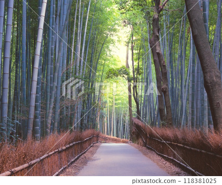 京都嵐山「嵯峨野竹林」步道 118381025