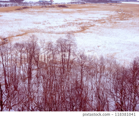 「北海道釧路濕原的雪景」/標茶町茅沼附近/釧路濕原國立公園 「北海道釧路濕原的雪景」/標茶町茅沼附近/釧路濕原國立公園 118381041