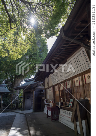 鎌倉 249 江良天神社 4 透過樹林的陽光 鎌倉 249 江良天神社 4 透過樹林的陽光 118381155