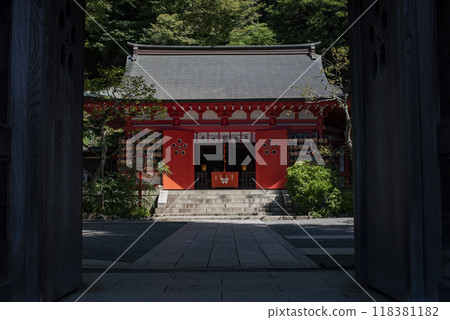 Kamakura 249 Egara Tenjin Shrine 11 Sunlight filtering through the trees Kamakura 249 Egara Tenjin Shrine 11 Sunlight filtering through the trees 118381182