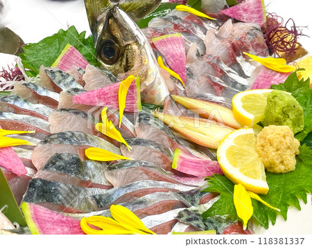 Seki Saba, Seki horse mackerel 118381337