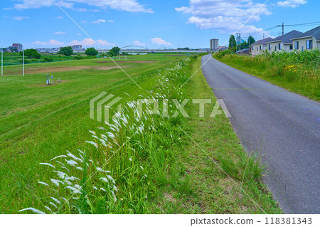From the Tamagawa Cycling Path (pedestrian path) near the multipurpose plaza in Oshidate, Inagi City, Tokyo, heading southeast towards Tamagawahara Bridge From the Tamagawa Cycling Path (pedestrian path) near the multipurpose plaza in Oshidate, Inagi City, Tokyo, heading southeast towards Tamagawahara Bridge 118381343