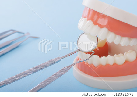 Image of tooth model and dental treatment 118381575