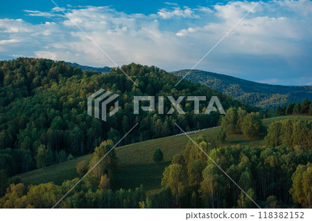 A herd of sheep in the Altai mountains. 118382152