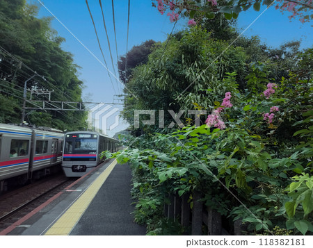 被稱為京成線祕境車站的大倉站 被稱為京成線祕境車站的大倉站 118382181