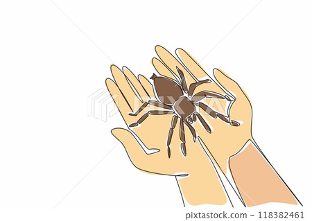 Continuous one line drawing big spider on two palms. Carry with care. Quite a dangerous animal. Has a painful bite. Poisonous. National Save a Spider Day. Single line draw design vector illustration 118382461