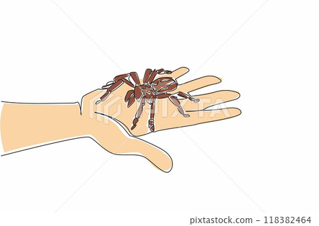 Single continuous line drawing big spider on palm. Tarantula on palm of a brave man's hand. Pet tarantulas.Animal. Wildlife. Arthropod. National Save a Spider Day. One line design vector illustration 118382464