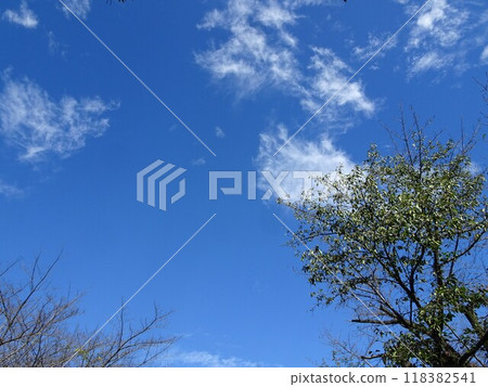 September's blue sky September's blue sky 118382541