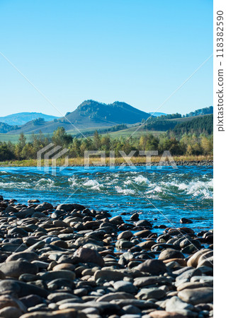 Fast mountain river in Altay 118382590