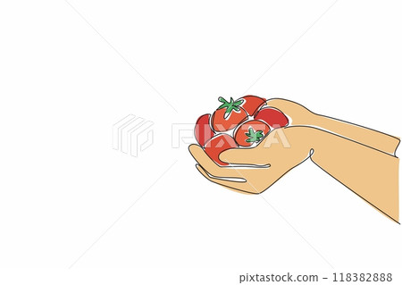 Single continuous line drawing two palms carrying some tomatoes. Harvest some fresh fruits that are rich in vitamin C. Healthy. Organic. National Agriculture Day. One line design vector illustration Single continuous line drawing two palms carrying some tomatoes. Harvest some fresh fruits that are rich in vitamin C. Healthy. Organic. National Agriculture Day. One line design vector illustration 118382888