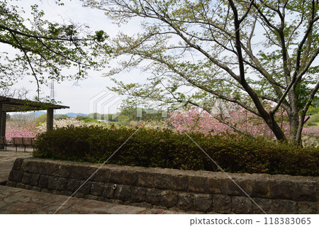 Hitachi Fudoki Hill 2024-4-21 #1 Hitachi Fudoki Hill 2024-4-21 #1 118383065