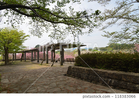 Hitachi Fudoki Hill 2024-4-21 #2 Hitachi Fudoki Hill 2024-4-21 #2 118383066