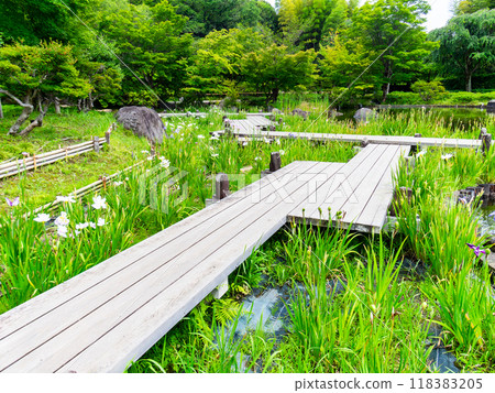 八橋湖畔景色 八橋湖畔景色 118383205