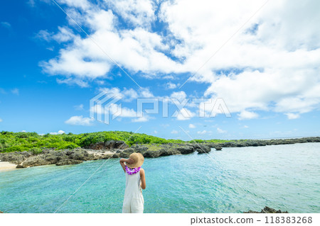 一名婦女抬頭看著一架降落在機場的客機的肖像 118383268