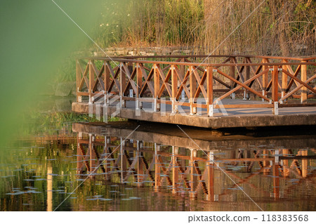 Brisbane Botanic Gardens Mount Coot-tha 118383568