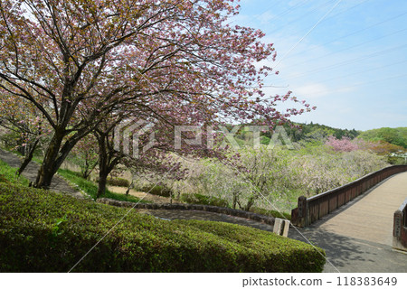 Hitachi Fudoki Hill 2024-4-21 #15 118383649