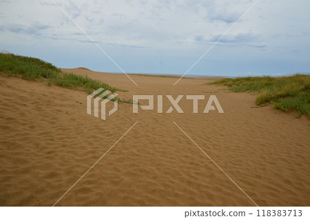 鳥取沙丘(鳥取縣鳥取市) 鳥取沙丘(鳥取縣鳥取市) 118383713