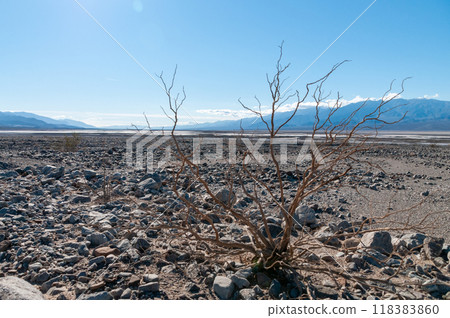 Death Valley National Park landscape Death Valley National Park landscape 118383860