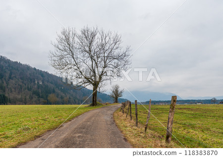 Impression of the Country side in the French Savoy Area 118383870