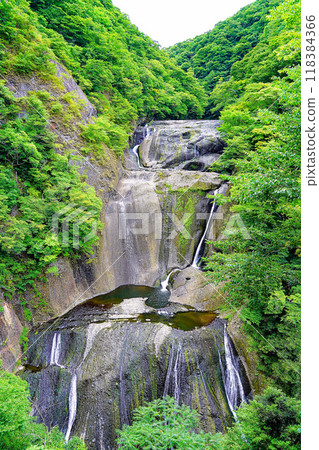 茨城縣袋田瀑布夏季（8月） 118384366