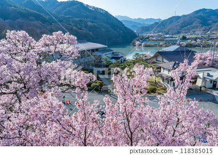 長野縣伊那市高遠城跡公園內的高遠町歷史博物館和高遠湖,據說是全國最好的櫻花 長野縣伊那市高遠城跡公園內的高遠町歷史博物館和高遠湖,據說是全國最好的櫻花 118385015